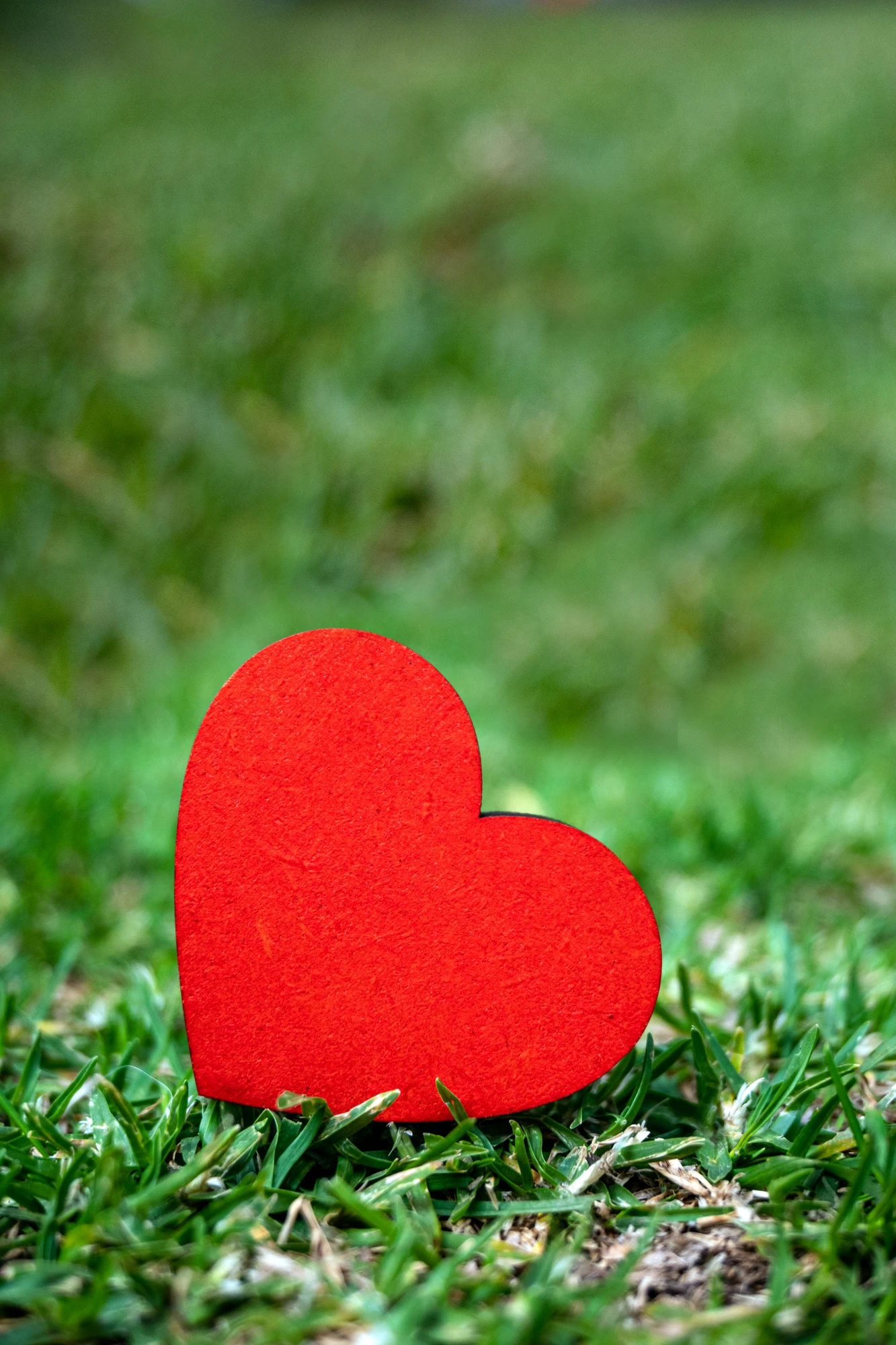 Diseño AMOR-06 de MiFunda3D
